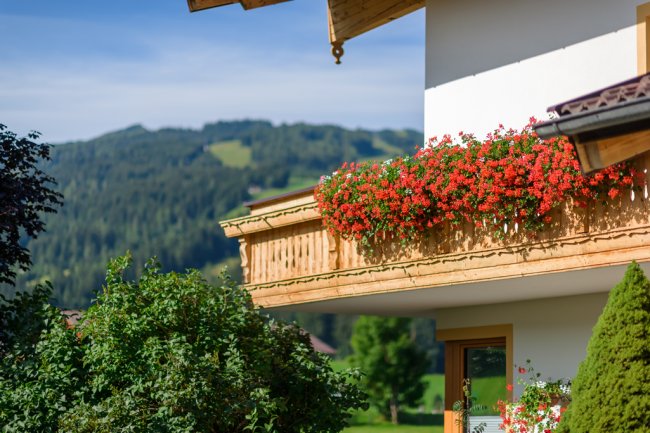 Liebevolle Blumendekoration um das ganze Haus